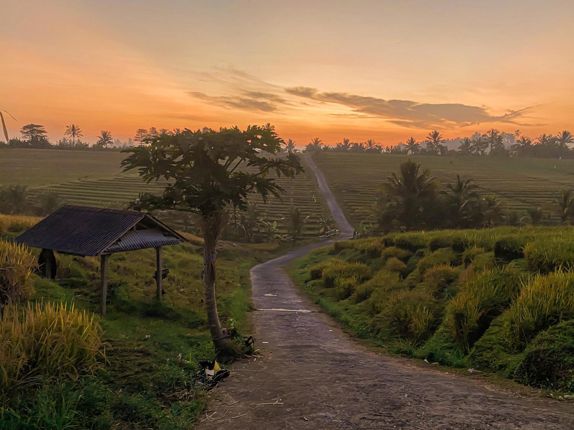 Apartament Bali Palms Tabanan Zewnętrze zdjęcie